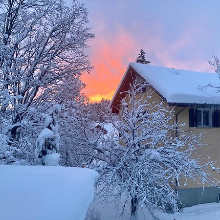 Ferienwohnung Haus Am Bach In Toggenburg ไวลด์เฮาส์ ภายนอก รูปภาพ