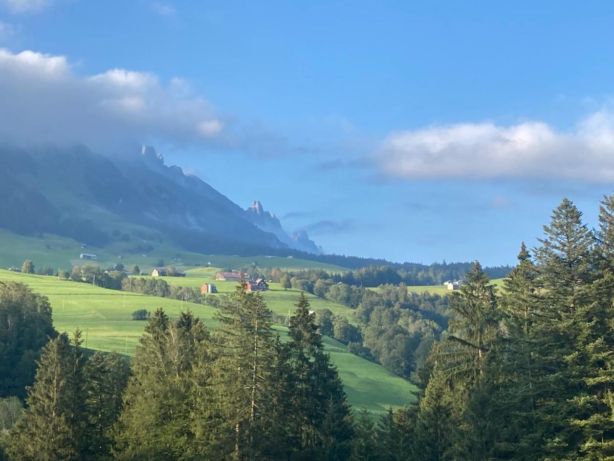 Ferienwohnung Haus Am Bach In Toggenburg ไวลด์เฮาส์ ภายนอก รูปภาพ
