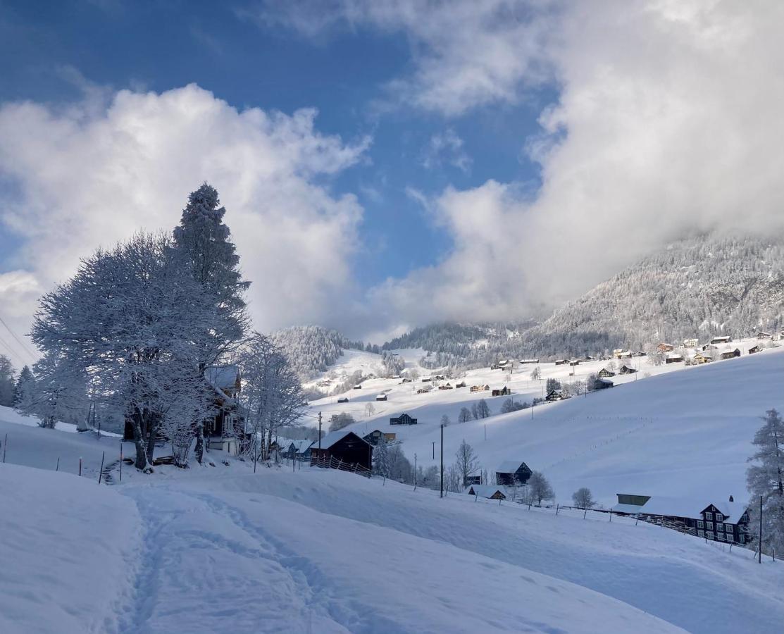 Ferienwohnung Haus Am Bach In Toggenburg ไวลด์เฮาส์ ภายนอก รูปภาพ