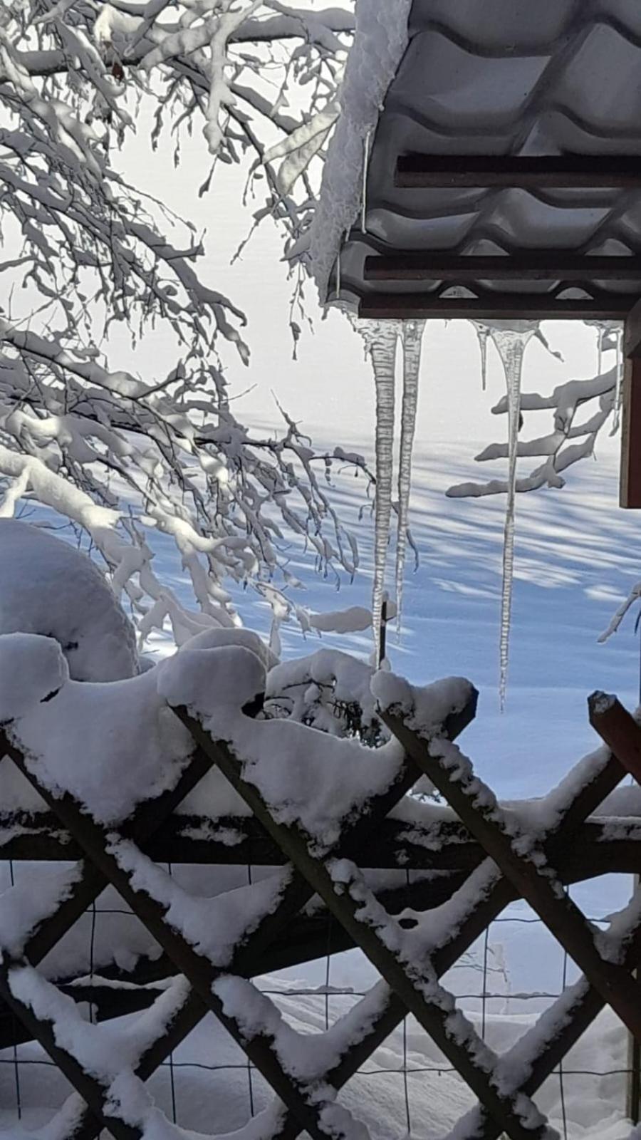 Ferienwohnung Haus Am Bach In Toggenburg ไวลด์เฮาส์ ภายนอก รูปภาพ