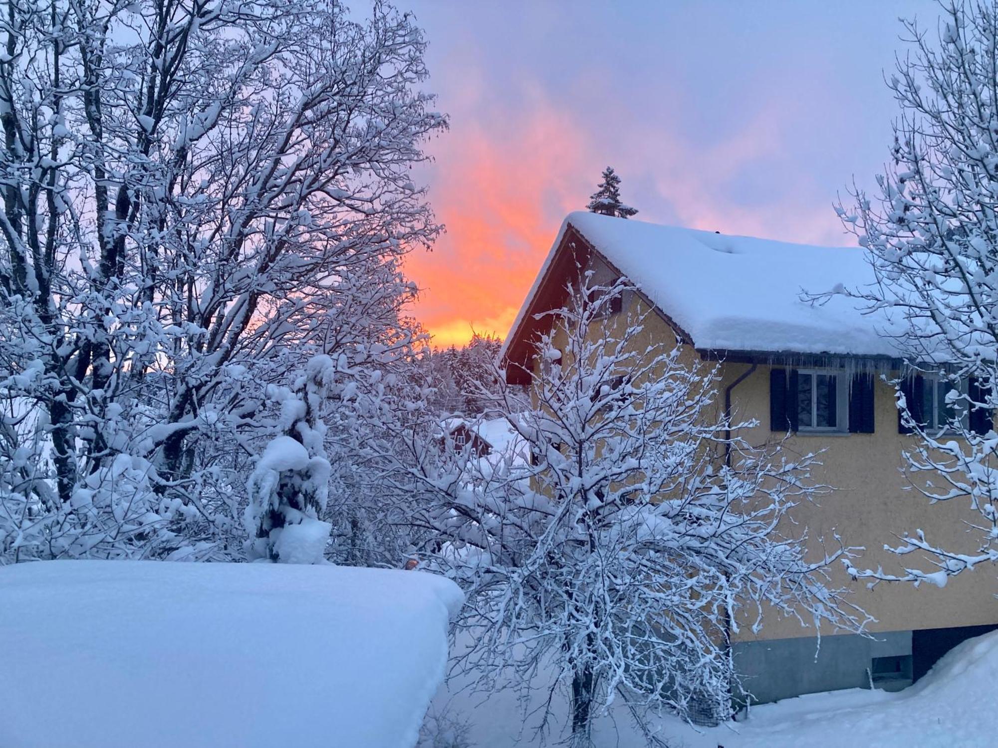 Ferienwohnung Haus Am Bach In Toggenburg ไวลด์เฮาส์ ภายนอก รูปภาพ