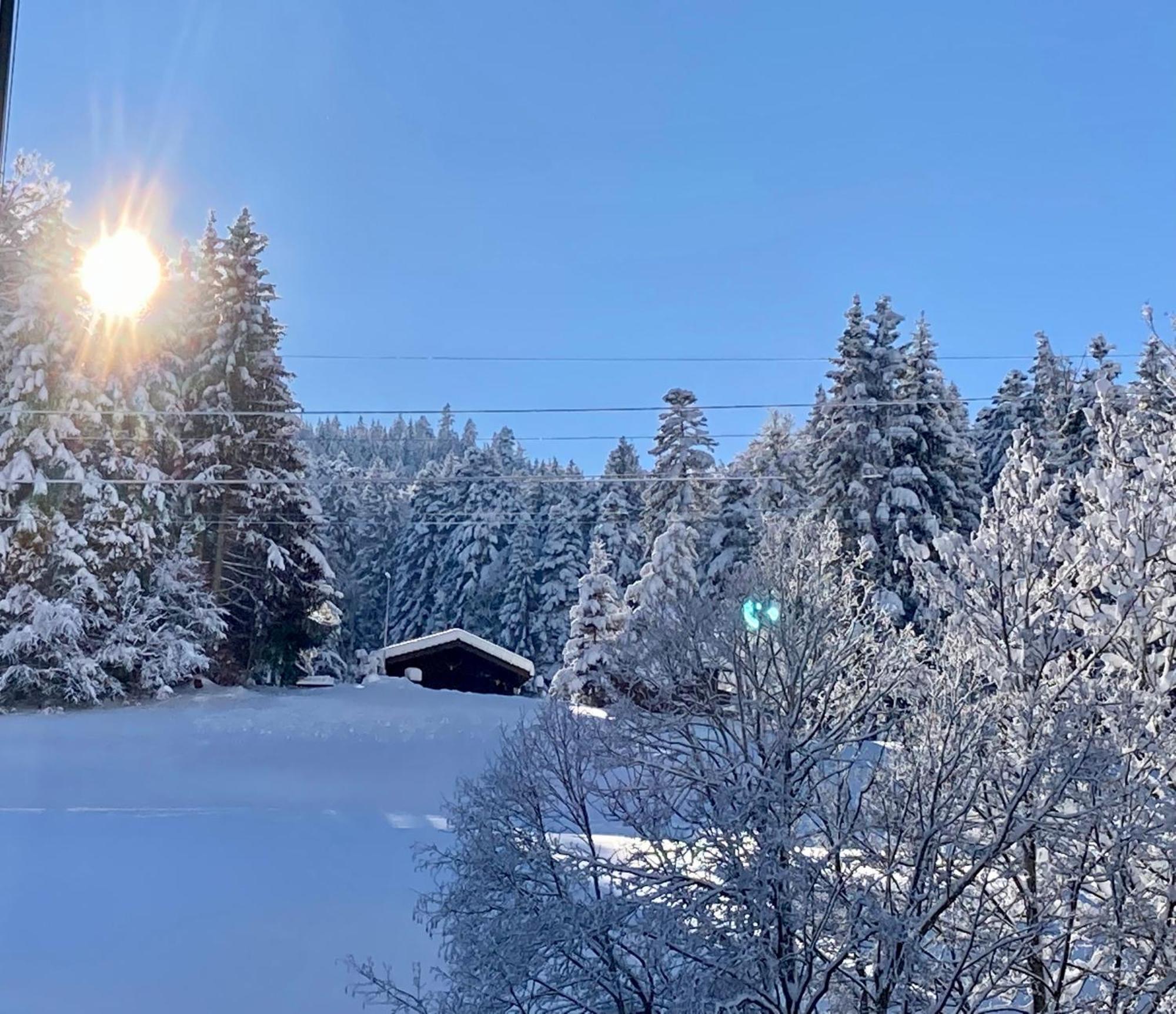 Ferienwohnung Haus Am Bach In Toggenburg ไวลด์เฮาส์ ภายนอก รูปภาพ