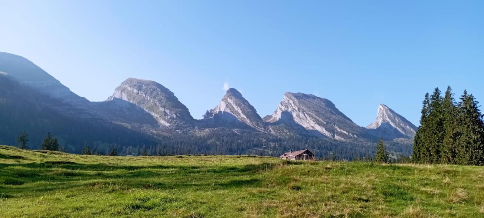 Ferienwohnung Haus Am Bach In Toggenburg ไวลด์เฮาส์ ภายนอก รูปภาพ