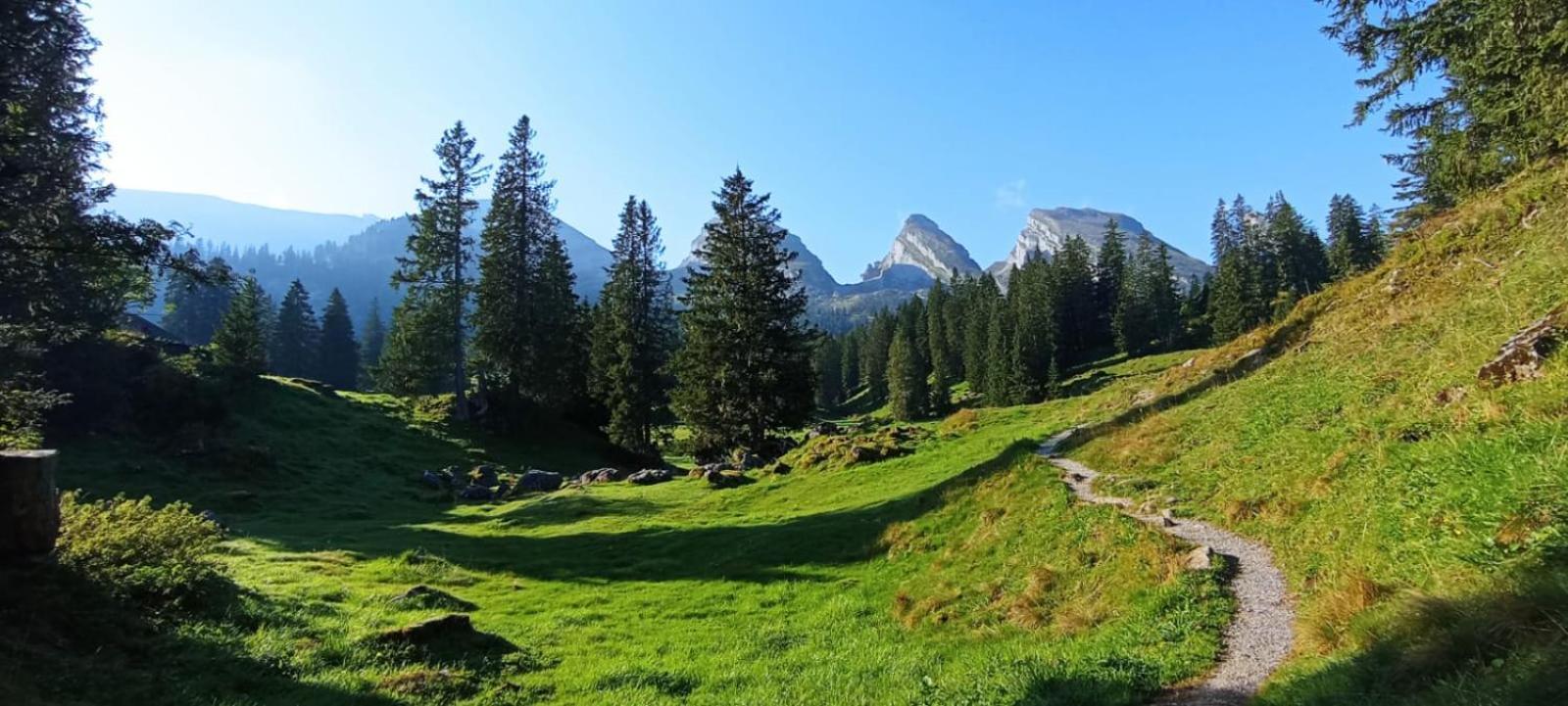 Ferienwohnung Haus Am Bach In Toggenburg ไวลด์เฮาส์ ภายนอก รูปภาพ