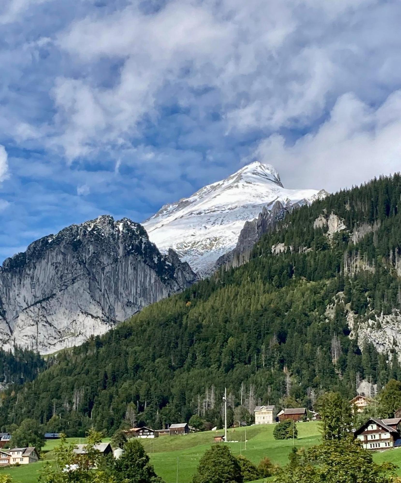 Ferienwohnung Haus Am Bach In Toggenburg ไวลด์เฮาส์ ภายนอก รูปภาพ